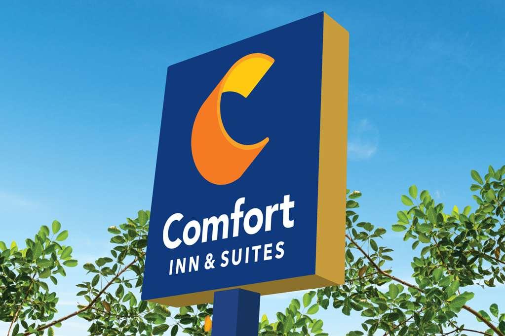 Comfort Inn & Suites High Point - Archdale المظهر الخارجي الصورة